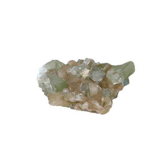 Green Apophyllite + Stilbite Cluster | CT22