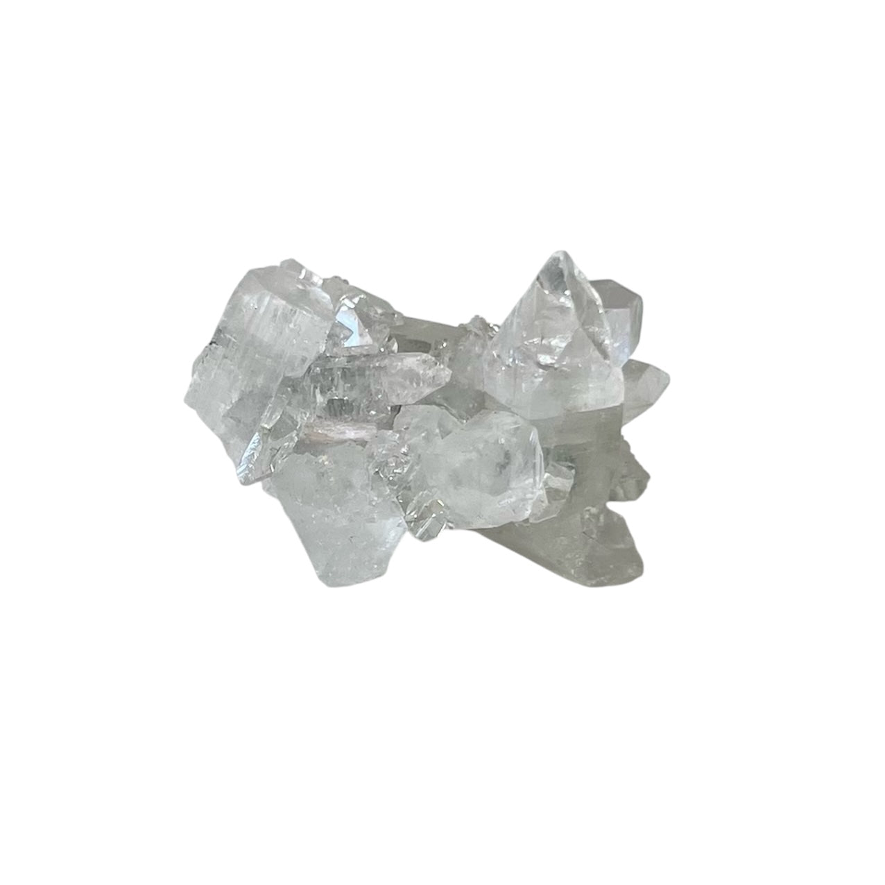Mini Apophyllite Cluster | CT12